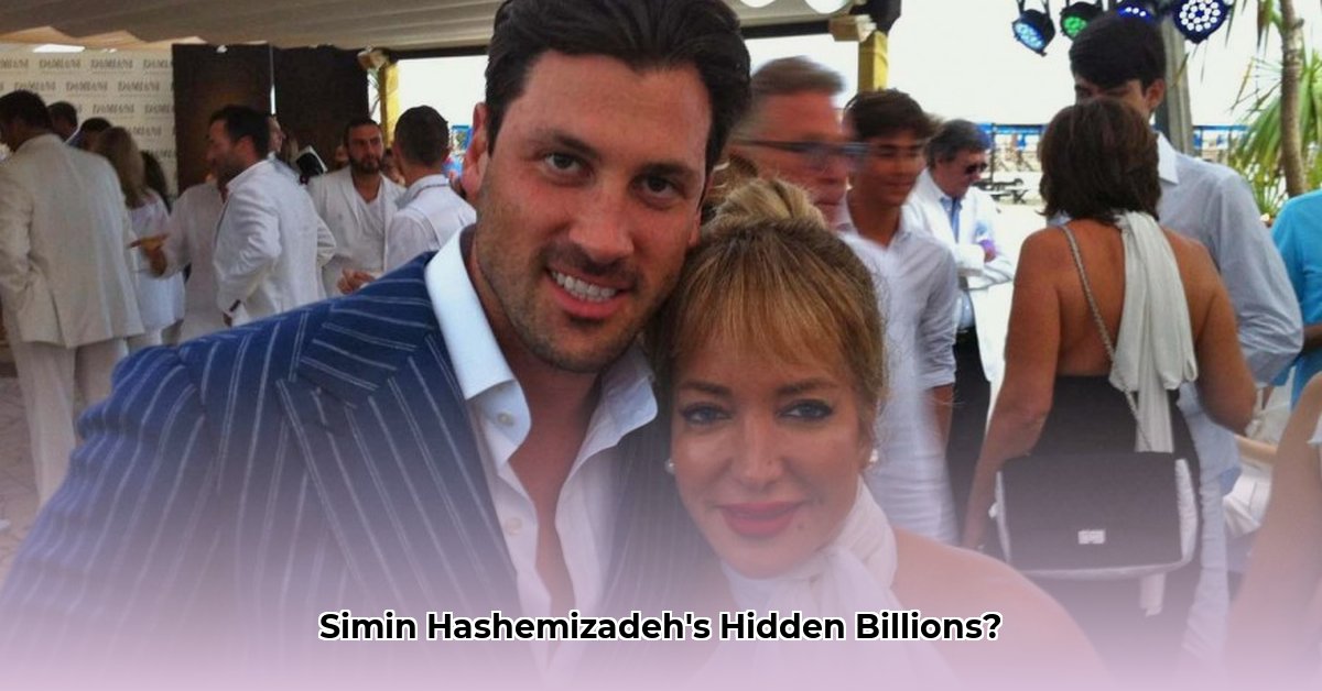 simin-hashemizadeh-net-worth